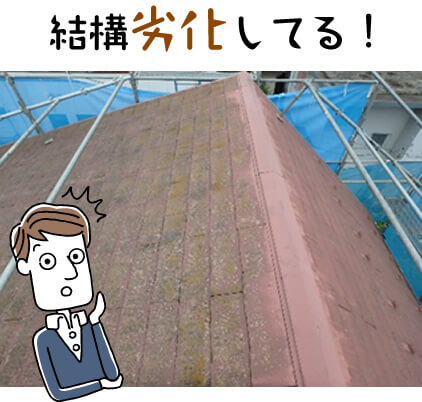 屋根が結構劣化してる!