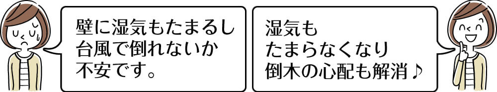 湿気や倒木の心配を解消する植栽伐採