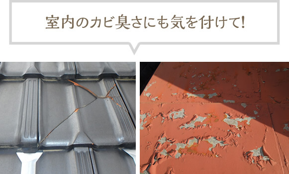 屋根の点検箇所では、室内のカビ臭さにも気を付けて!